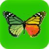 Photo Effects Studio